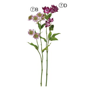  Ƃ悹i AXgeBA×8 AXg` }X^[EH[g  p[v A[eBtBVt[  CeA tFCNt[ AXJ ASCA AXJ