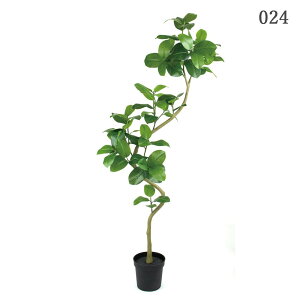 yP10{ 12/31܂ŁIz tFCNO[ ϗtA y[J[iz cCXgAeV}|bg(g) 200cm ssEiƂ̓st tBJX SmL S̖ ϗtA 2m 