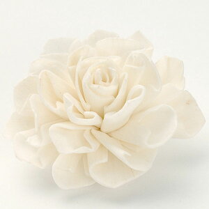 yP10{ 12/31܂ŁIz nhCht[ ԍ o \[[_AEwbh  hCt[ \[[ nhCht[  ԍ f ޗ u[P XbO [X ԑ n