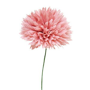 yP10{ z  Ƃ悹i ~j{[}sbN AbVsN(4{) A[eBtBVt[  CeA CeAt[ tFCNt[ VNt[ ԍ p