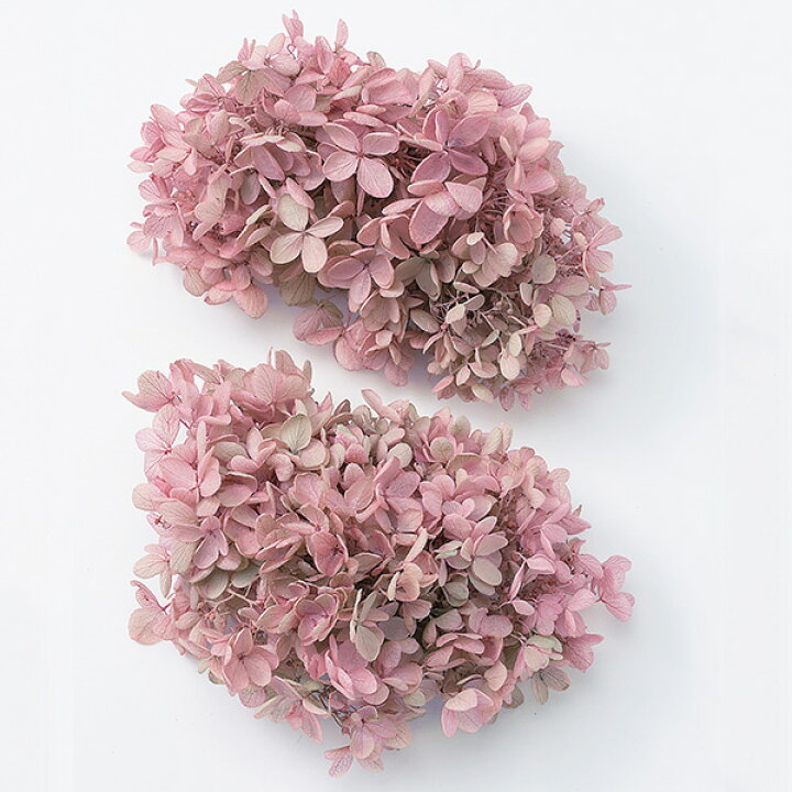 プリザーブドフラワー アナベルアジサイ g前後 ローヤルブルー 送料込 g前後