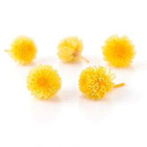 yP10{ z vU[uht[ ԍ o gEvU[uhEwbh ~UCG[ vU[uht[ XbO u[P hCt[ ԑ [X AW n_