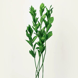 yP10{ z vU[uht[ ԍ o XJXEK[f tbVO[ vU[uht[ XbO u[P hCt[ ԑ [X AW ԍ t n_