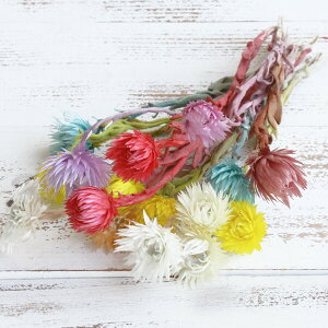 hCt[ ԍ o Vo[fCW[ CgJ[A\[g Vo[f[W[ ԍ f ޗ p[c hCt[ XbO u[P ԑ [X  f