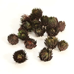 yP10{ z hCt[ ԍ o Vo[fCW[wbh {fBbVO[ Vo[f[W[ ԍ f ޗ p[c Cbh O[ [X AW f