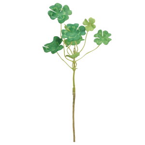 yP10{ 12/31܂ŁIz  O[ Ƃ悹i N[o[sbN CeA tFCN O[ p[c CeAt[ tFCNt[ VNt[ ԍ t AXJ ASCA AXJ