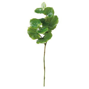  O[ Ƃ悹i V[O[v CeA tFCN O[ p[c CeAt[ tFCNt[ VNt[ A[gt[ AXJ ASCA AXJ