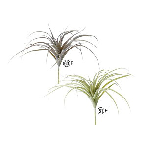 yP10{ z  O[ A Ƃ悹i eBhVA GAvc TbJe T{e CeA tFCN O[ p[c tFCNt[ AXJ ASCA AXJ