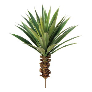  O[ A Ƃ悹i X^[TbJe CeA tFCN O[ p[c AWg CeAt[ VNt[ AXJ ASCA AXJ