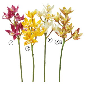 yP10{ z   Ƃ悹i VrW[×5 VrWE 轏֗ QCVE Vrf[ VrfBE  F  F  VNt[ AXJ ASCA AXJ