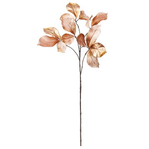 yP10{ z   Ƃ悹i xxbg[tXv[ lHA CeAO[ tFCNO[ tFCNϗtA C~e[VO[  AXJ ASCA AXJ