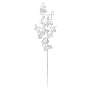 yP10{ z NX}X  O[ Ƃ悹i I[[JXv[(~) L ~f Cxg p[eB[ zCg   ~ X ۗt [t  AXJ ASCA AXJ