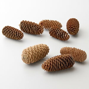 hCt[ ԍ Ƃ悹i gEqE ԍ f ޗ p[c fR [X hCt[ ؂̎ XbO AW NX}X AWg i` n_