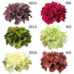 yP10{ 12/31܂ŁIz  o _AsbN _A ԍ ޗ AW  RT[W 31451 p[c  uC_ u[P a [X wbhp[c l AXJ ASCA AXJ