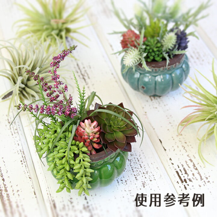 造花 グリーン 多肉植物 即日出荷 アスカ エアプランツ 1本 サッカレンテン サボテン インテリア フェイク 春 最新人気