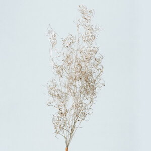 yP10{ z hCt[ ԍ o SAiN[ v`i vU[uht[ XbO u[P hCt[ ԑ [X AW ԍ f ޗ p[c   n_