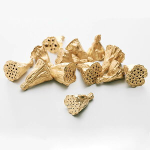 yP10{ z hCt[ ԍ o ~jnXE S[h hCt[ ؂̎ XbO [X AW ԍ f ޗ p[c AWg i`   n_