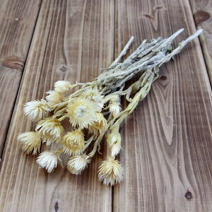 hCt[ ԍ o Vo[fCW[ IW(Cg) Vo[f[W[ ԍ f ޗ p[c hCt[ XbO u[P hCt[ԑ f