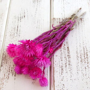 hCt[ ԍ o Vo[fCW[ JrA Z Vo[f[W[ ԍ f ޗ p[c hCt[ XbO u[P hCt[ԑ  f