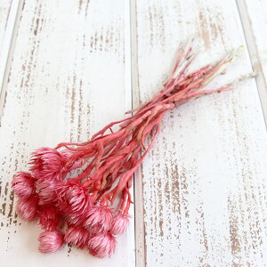 hCt[ ԍ o Vo[fCW[ Cgbh Vo[f[W[ ԍ f ޗ p[c hCt[ XbO u[P hCt[ԑ  f