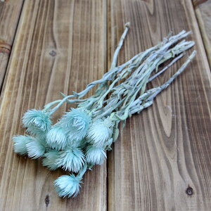 yP10{ 12/31܂ŁIz hCt[ ԍ o Vo[fCW[ Vo[f[W[ACXu[ Vo[f[W[ ԍ f ޗ p[c hCt[ XbO u[P ԑ DIY 