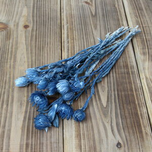 hCt[ ԍ o Vo[fCW[ _[Nu[ Vo[f[W[ ԍ f ޗ p[c hCt[ XbO u[P hCt[ԑ  f