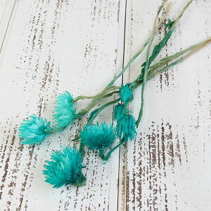 hCt[ ԍ o Vo[fCW[ FCg Vo[f[W[ ԍ f ޗ p[c hCt[ XbO u[P hCt[ԑ DIY f