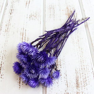 hCt[ ԍ o Vo[fCW[ _[Np[v Vo[f[W[ ԍ f ޗ p[c hCt[ XbO u[P hCt[ԑ DIY f