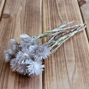 hCt[ ԍ o Vo[fCW[ p[OC Vo[f[W[ ԍ f ޗ p[c hCt[ XbO u[P hCt[ԑ  f