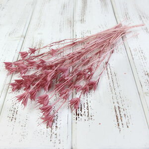 yP10{ z hCt[ ԍ o jQIG^XE~fB AeB[NsN hCt[ XbO u[P hCt[ԑ hCt[XbO [X 