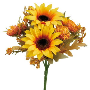  Ƃ悹i Tt[MIXubV  q} Ђ܂ 썑 gsJ CeA CeAt[ tFCNt[ VNt[ ԍ f roH|