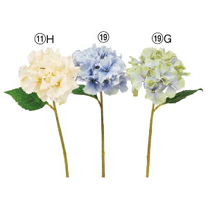  Ƃ悹i nChWA  AWTC z nChWA ZCEAWTC mz x[W F u[ Cgu[ F AXJ ASCA AXJ