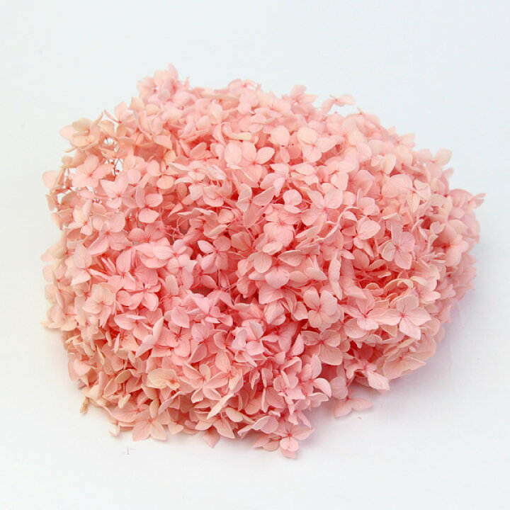 《プリザーブドフラワー 花材》☆即日出荷☆花びし ソフトアナベル ベビーピンク アジサイ あじさい 紫陽花 ハーバリウム プリザーブドローズ プリ プリザーブド ブリザーブド パーツ サシェ キャンドル 花 造花ドライフラワー専門問屋花びし プリザーブドフラワー アナベルアジサイ 20g前後 ベージュミックス