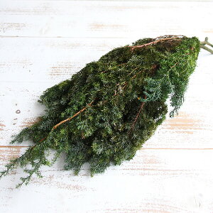 yP10{ z vU[uht[ ԍ o qXM tbVO[ vU[uht[ XbO u[P hCt[ ԑ [X AW ԍ f ޗ n_