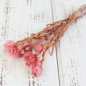 hCt[ ԍ o Vo[fCW[ T[ Vo[f[W[ ԍ f ޗ p[c hCt[ XbO u[P hCt[ԑ [X  f