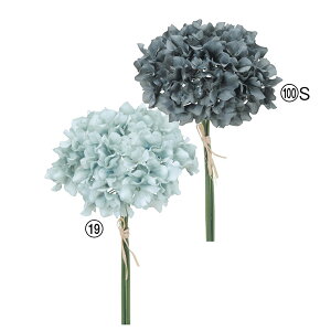  Ƃ悹i nChWAo` (13{) z AWTC CeA CeAt[ tFCNt[ VNt[ ԍ Ԏ AXJ ASCA AXJ