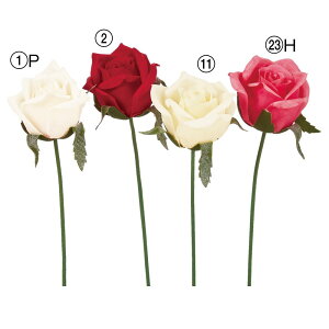 yP10{ 12/31܂ŁIz  Ƃ悹i [YsbN o KN  Ԃo Jbv炫 sN bh ԂKN KN   RT[W ԍ ޗ p[c  t AXJ ASCA AXJ