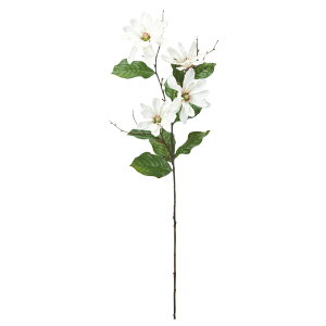   Ƃ悹i }OmA×4 N nNN VN RuV  O[   VNt[ C~e[V tFCN Vt AXJ ASCA AXJ