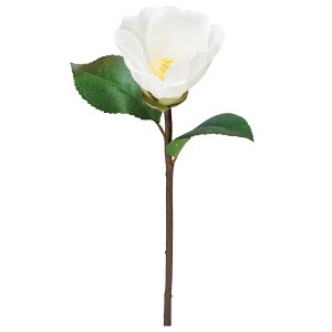  Ƃ悹i փsbN a coL JA CeA CeAt[ tFCNt[ VNt[ CeAO[ A[gt[ AXJ ASCA AXJ