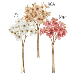 yP10{ z   Ƃ悹i VCj[ubTo`(13{)  S[h  S[WX  i GKg  AW ԍ AXJ ASCA AXJ