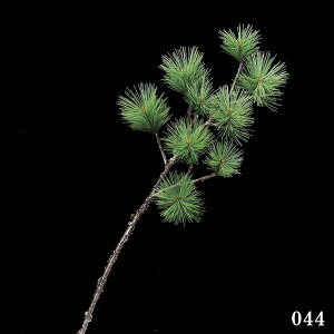 yP10{ 12/31܂ŁIz  O[ Ƃ悹i V a  pC CeA tFCN O[ p[c CeAt[ tFCNt[ VNt[ ԍ f AXJ ASCA AXJ