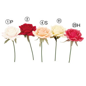  Ƃ悹i [YsbN o KN  Ԃo c炫 ٍc炫 sN bh ԂKN KN   RT[W ԍ ޗ DIY AXJ ASCA AXJ