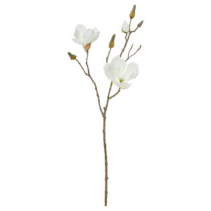   Ƃ悹i }OmA×2 ڂ×5 N nNN VN RuV   VNt[ C~e[V tFCN Vt a AXJ ASCA AXJ