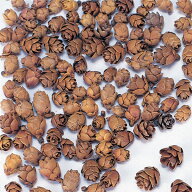 【40％OFF】 ドライフラワー 花材 即日出荷 タマラックコーン ナチュラル ドライフラワー 木の実 スワッ…
