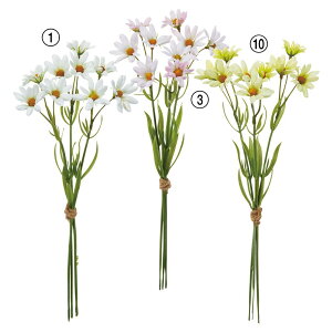  Ƃ悹i f[W[o`i13{) fCW[ e qiMN ԑ u[P  F sN CG[ CeA CeAt[ ԍ f AXJ ASCA AXJ