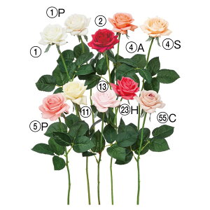 yP10{ 12/31܂ŁIz  Ƃ悹i [Y o KN  c炫 ٍc炫   sN x[W bh zCg CeA CeAt[ ԍ Ԏ AXJ ASCA AXJ