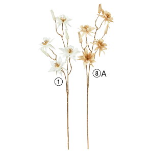 yP10{ z   Ƃ悹i VCj[I_}LXv[×4 ڂ×3 CgN\E J ALMA RoC LL   ԍ a AXJ ASCA AXJ