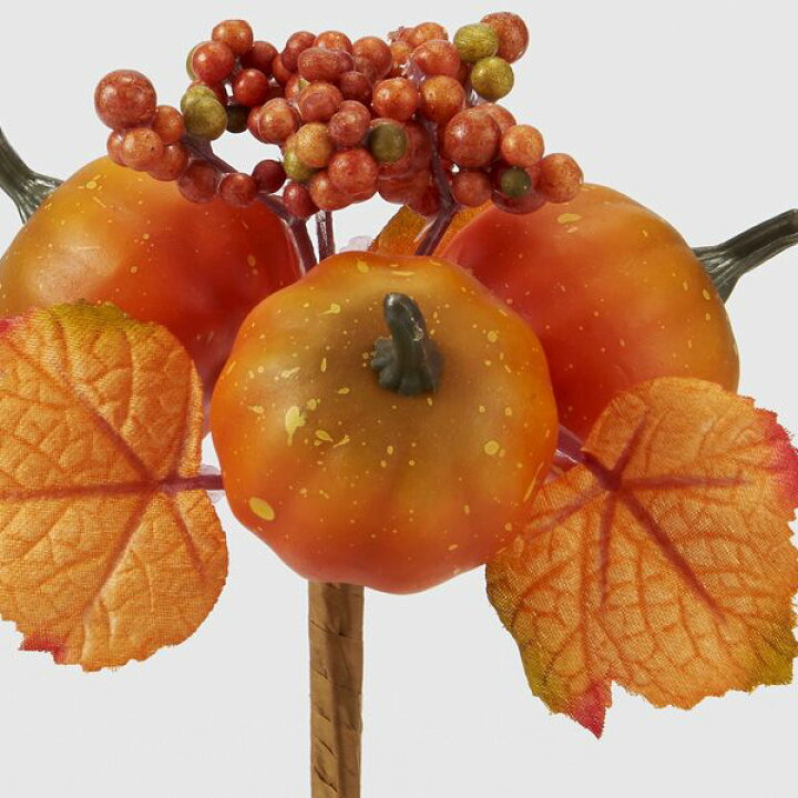 楽天市場 フェイクフルーツ とりよせ品 花びし パンプキンピック オレンジインテリア イミテーション 花材 花資材 素材 材料 パーツ 装飾 手作り 安い ナチュラル 春 夏 秋 冬 高品質 リアル 果物 造花ドライフラワー専門問屋花びし