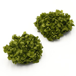 yP10{ z vU[uht[ ԍ o ߃AWTCEwbh O[ AWTC  z Ԃт vU[uht[ XbO u[P hCt[ ԑ n_