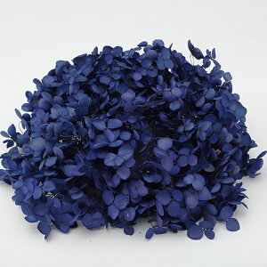 vU[uht[ ԍ o \tgAix GWvVAu[ AWTC  z Ԃт vU[uht[ XbO u[P ԑ [X 